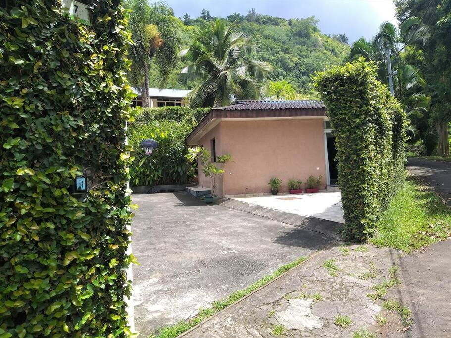 Vacation House In Tahiti Punaauia  Extérieur photo